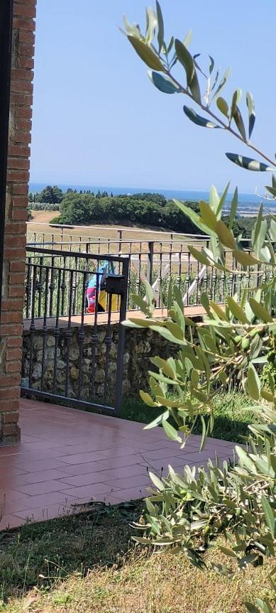 Agriturismo Il Poggio Casale Marittimo Exterior photo